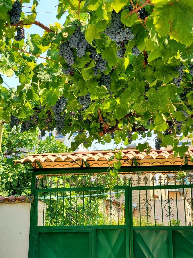 Unique Traditional House, Hosted By J&G Tirana Exterior foto
