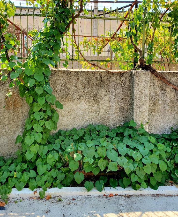 Unique Traditional House, Hosted By J&G Tirana Exterior foto